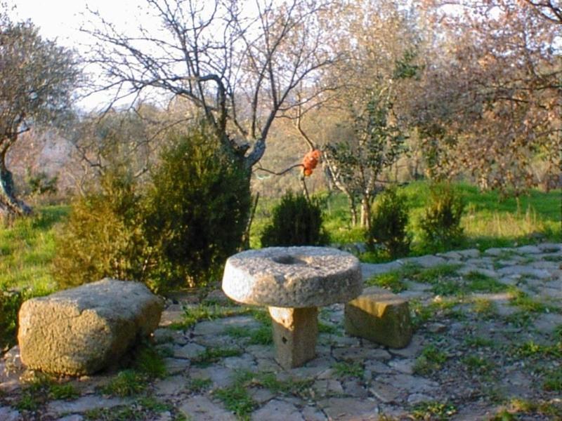 Agriturismo Il Vecchio Casale Casa de hóspedes Vatolla Exterior foto