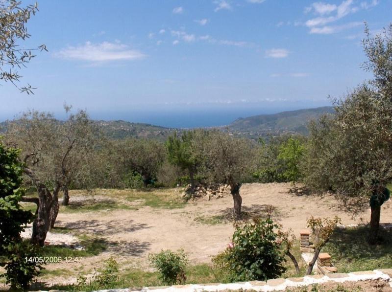 Agriturismo Il Vecchio Casale Casa de hóspedes Vatolla Exterior foto